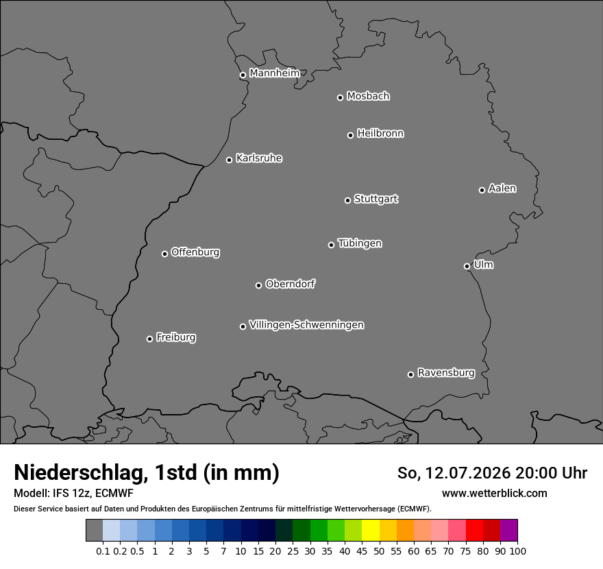 Modellkarte ECMWF – precip – bw