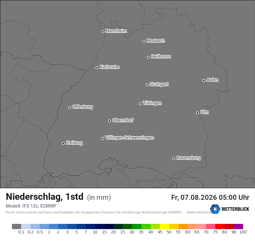 Modellkarte ECMWF – precip – bw