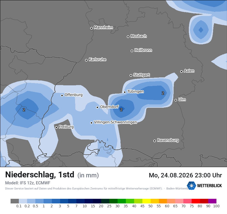 Modellkarte ECMWF – precip – bw