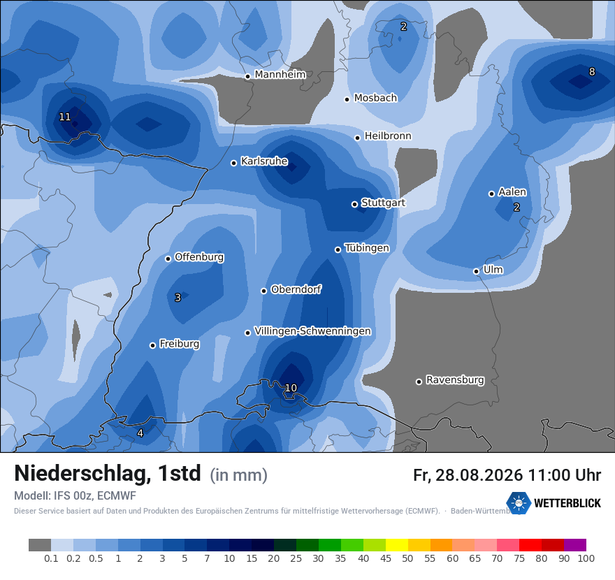 Modellkarte ECMWF – precip – bw