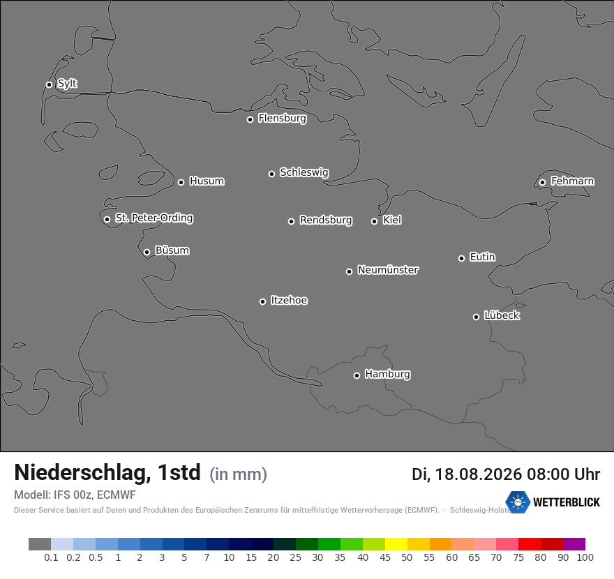Modellkarte ECMWF – precip – sh