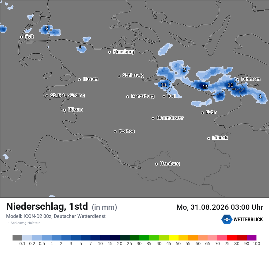 Niederschlag