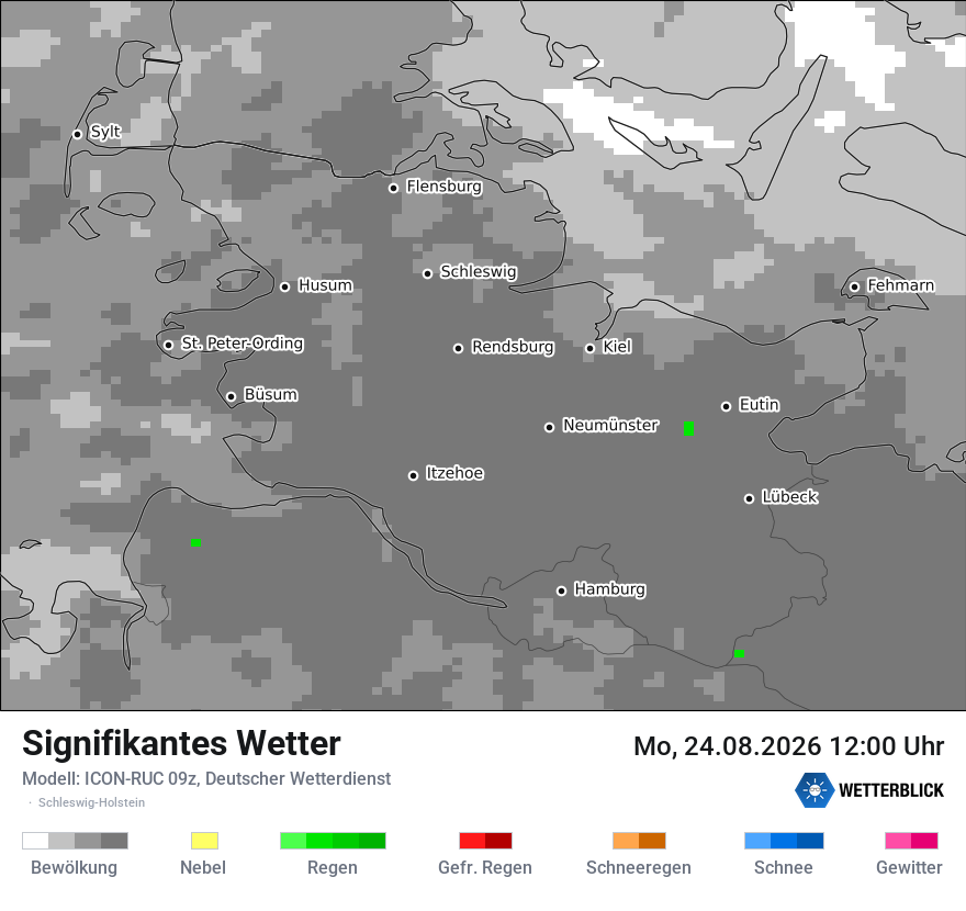 Modellkarte ICON-RUC – ww – sh